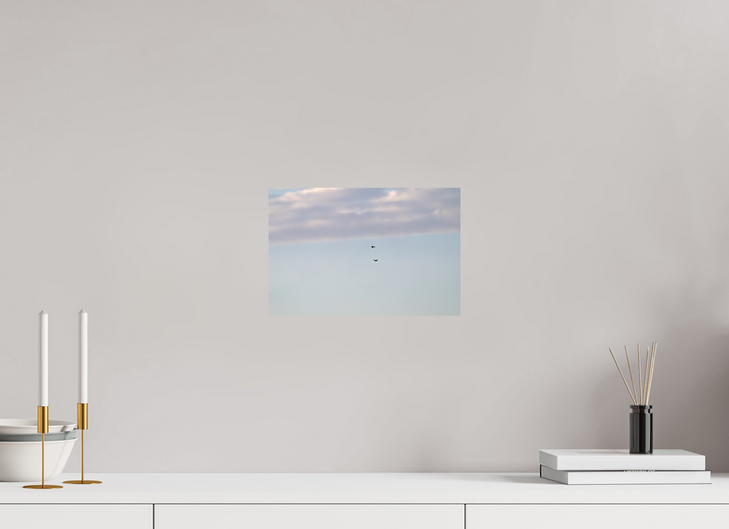 30 x 20 cm, Photo Print On Fuji Crystal DP II Flying Couple Birds in Winter